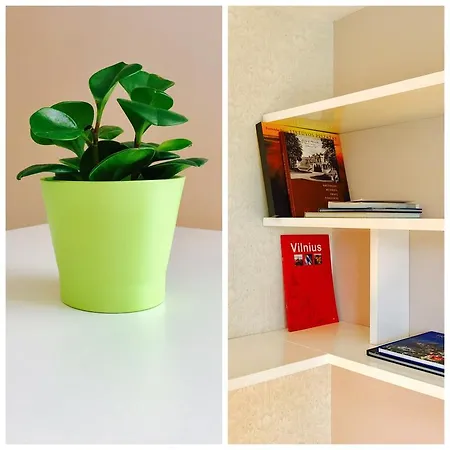Heart Studio Apartman